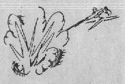 Stoumont